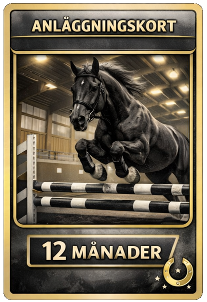 Ridhuskort 12 Månader
